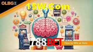 Statistics 788Bet